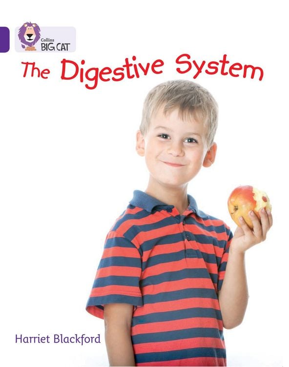 Produktbild: The Digestive System
