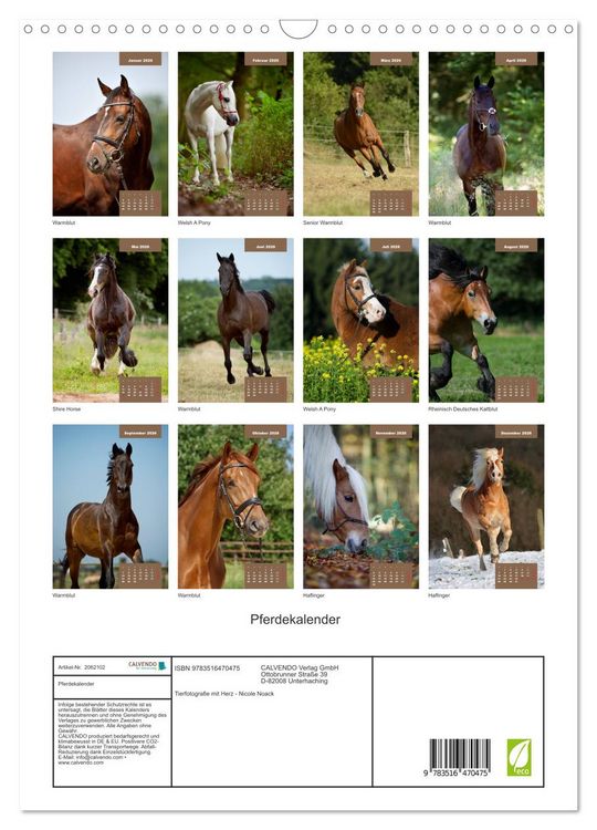 Produktbild: Pferdekalender (Wandkalender 2026 DIN A3 hoch), CALVENDO Monatskalender