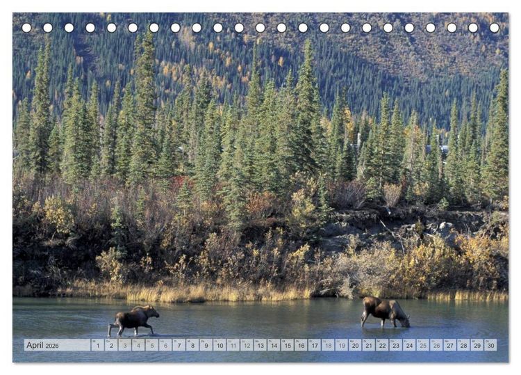 Produktbild: Wildes Alaska Christian Heeb (Tischkalender 2026 DIN A5 quer), CALVENDO Monatskalender