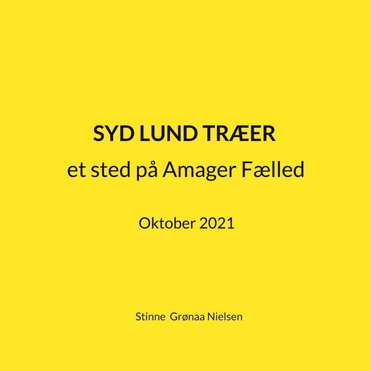 Produktbild: Syd Lund Tr&aelig;er
