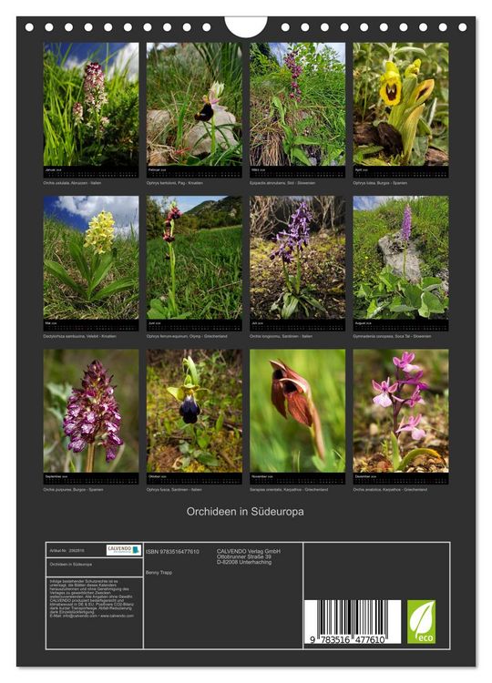 Produktbild: Orchideen in S&uuml;deuropa (Wandkalender 2026 DIN A4 hoch), CALVENDO Monatskalender