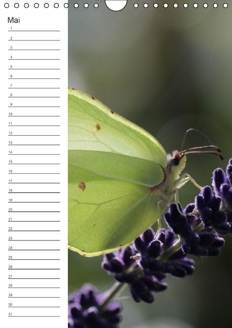 Produktbild: Tierische Kleinigkeiten / Geburtstagskalender (Wandkalender immerw&auml;hrend DIN A4 hoch)