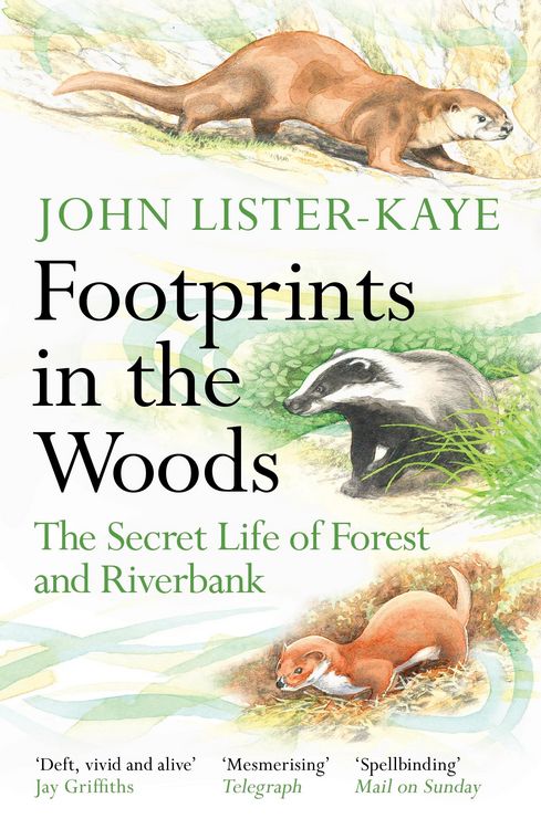 Produktbild: Footprints in the Woods