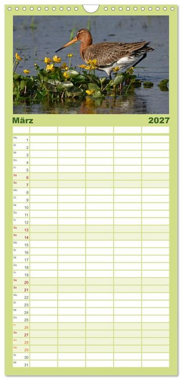 Produktbild: Familienplaner 2027 - Die bedrohten Uferschnepfen mit 5 Spalten (Wandkalender, 21 x 45 cm) CALVENDO