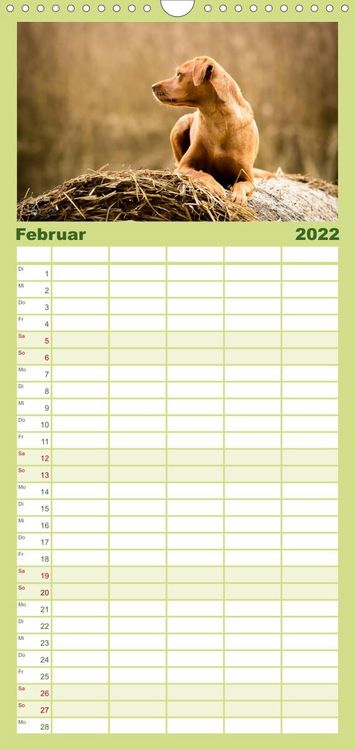 Produktbild: Familienplaner Labrador Trio - 3 Farben, 3 Freunde (Wandkalender 2022 , 21 cm x 45 cm, hoch)