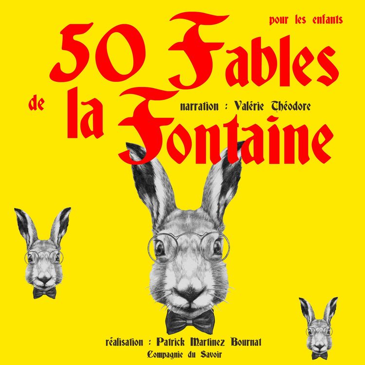 Produktbild: 50 fables pour les enfants