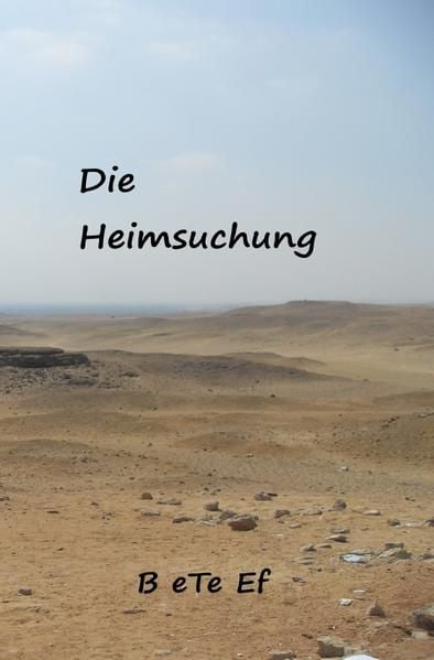 Produktbild: Romanreihe / Die Heimsuchung