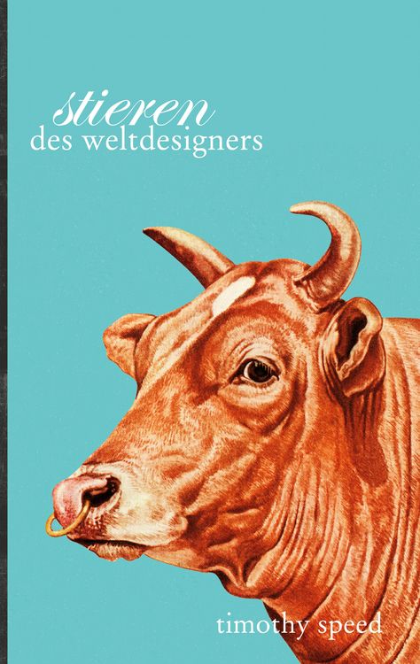 Produktbild: Stieren des Weltdesigners