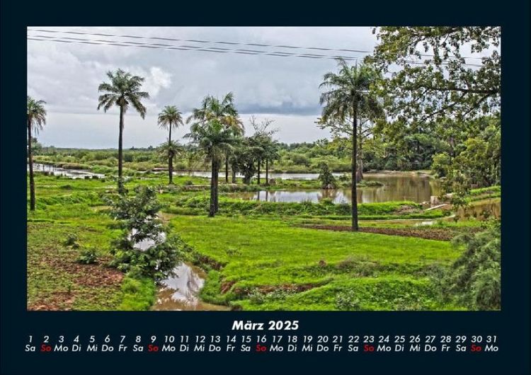 Produktbild: Palmentraum 2025 Fotokalender DIN A4