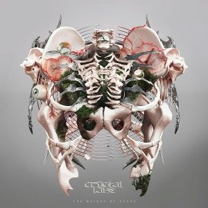 Produktbild: The Weight of Sound (grey LP)