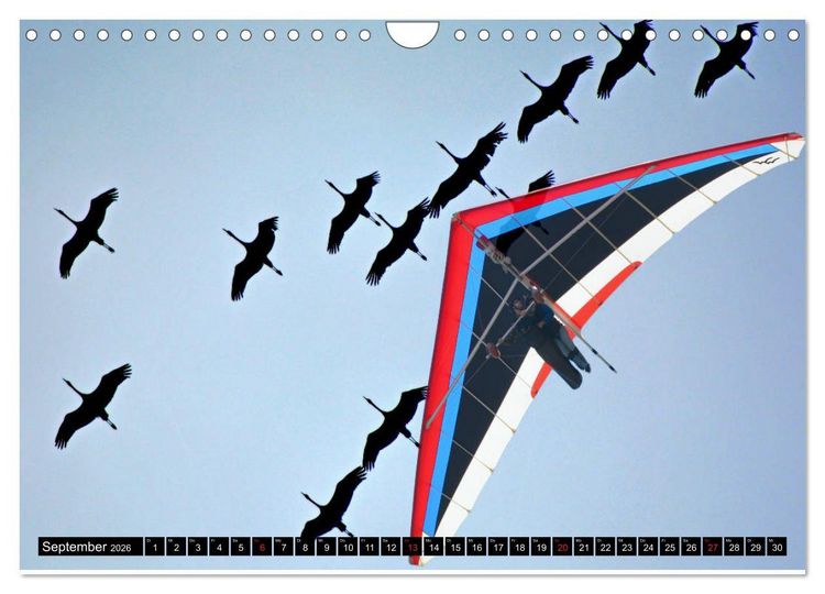 Produktbild: Drachenfliegen - Die Welt aus neuer Perspektive erleben (Wandkalender 2026 DIN A4 quer), CALVENDO Monatskalender