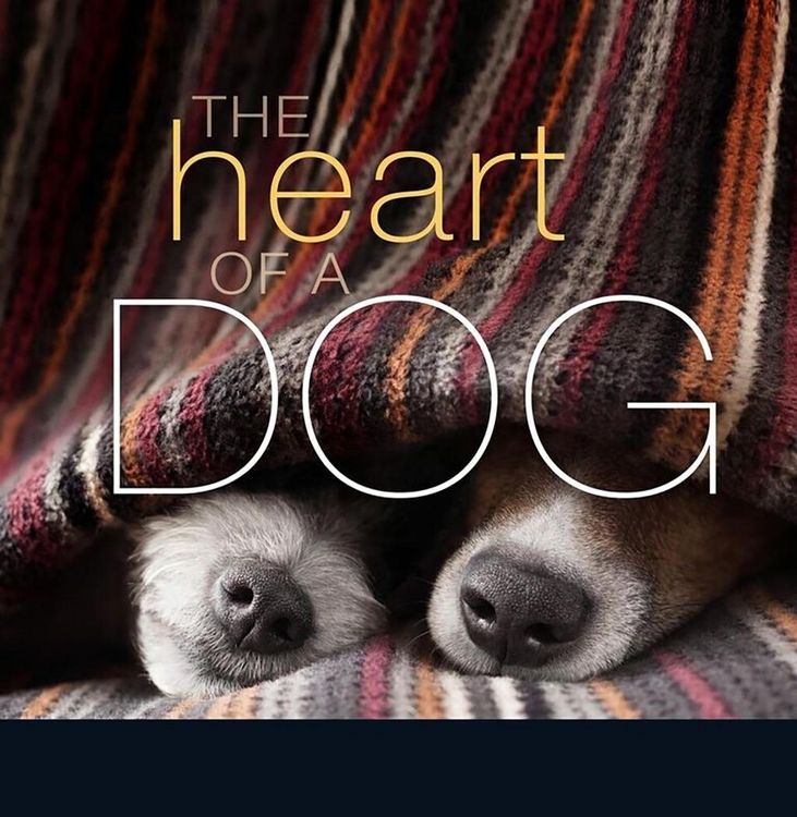 Produktbild: The Heart of a Dog