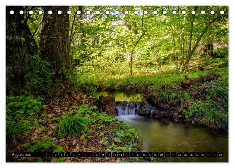 Produktbild: Wege des einfachen Gl&uuml;cks - Spazierg&auml;nge im Wald (Tischkalender 2026 DIN A5 quer), CALVENDO Monatskalender