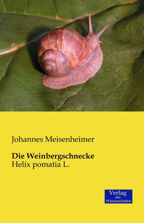 Produktbild: Die Weinbergschnecke