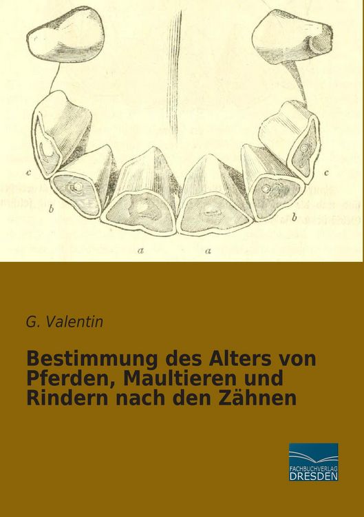 Produktbild: Bestimmung des Alters von Pferden, Maultieren und Rindern nach den Z&auml;hnen