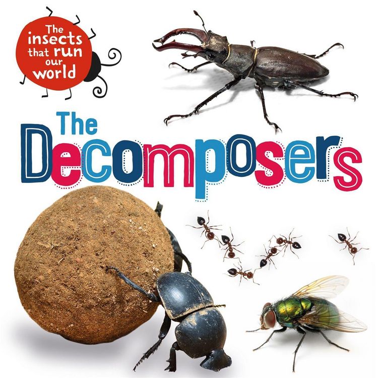 Produktbild: The Insects that Run Our World: The Decomposers