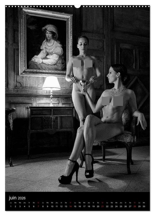 Produktbild: Les dames du ch&acirc;teau (Calendrier mural 2026 DIN A2 horizontal) calendrier de bureau