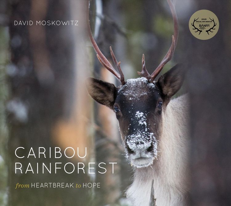 Produktbild: Caribou Rainforest