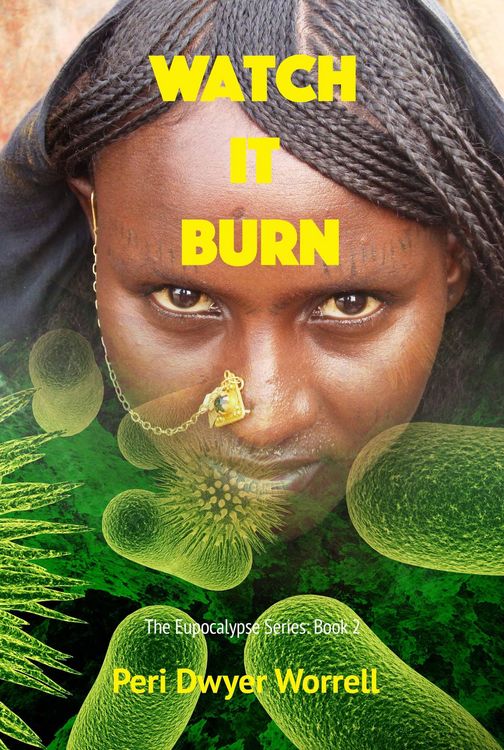 Produktbild: Watch It Burn (Eupocalypse, #2)