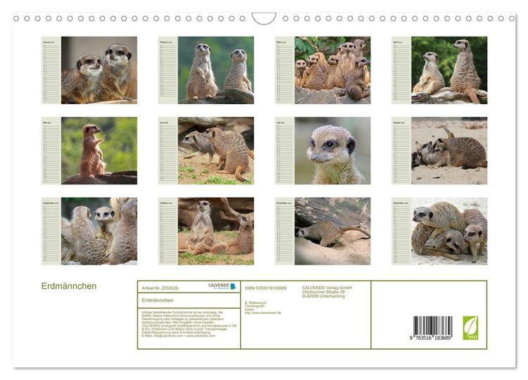 Produktbild: Erdm&auml;nnchen (Wandkalender 2026 DIN A3 quer), CALVENDO Monatskalender