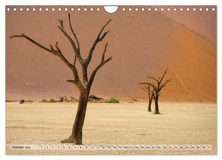 Produktbild: Namibia - Simbabwe - Botswana Leben zwischen W&uuml;ste und Wildnis (Wandkalender 2026 DIN A4 quer), CALVENDO Monatskalender