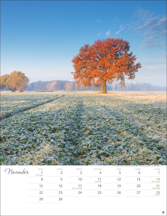 Produktbild: Jenseits der Hast Posterkalender 2027