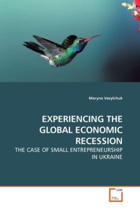 Produktbild: Vasylchuk, M: Experiencing The Global Economic Recession