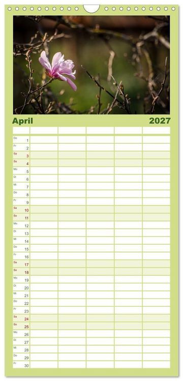 Produktbild: Familienplaner 2027 - Fr&uuml;hlingsbl&uuml;her - Farbenpracht nach dem Winter mit 5 Spalten (Wandkalender, 21 x 45 cm) CALVENDO