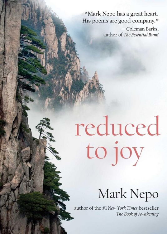 Produktbild: Reduced to Joy