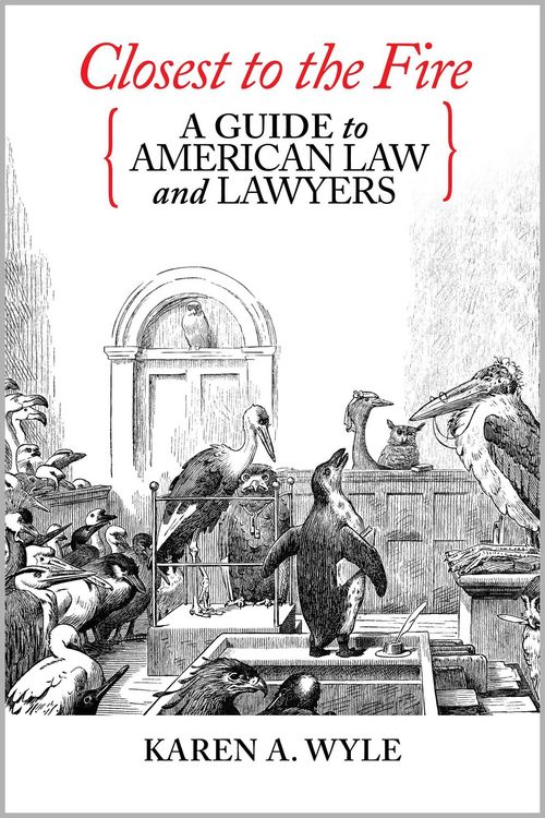 Produktbild: Closest to the Fire: A Guide to American Law and Lawyers