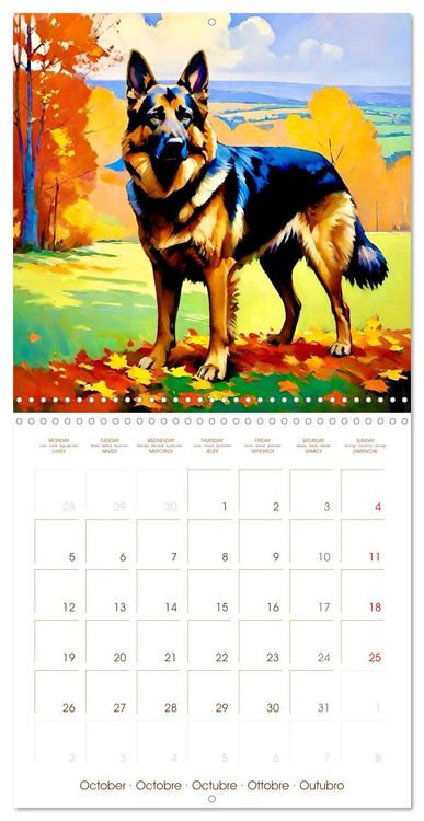 Produktbild: German Shepherd. The majestic character of a noble breed (Wall Calendar 2026 12 &times; 12 Inch) CALVENDO 12 Month Wall Calendar