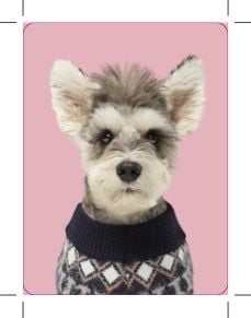 Produktbild: Ziehst du dich an wie dein Hund?