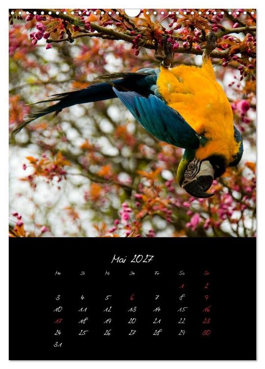 Produktbild: Tiere (Wandkalender 2027 DIN A3 hoch), CALVENDO Monatskalender