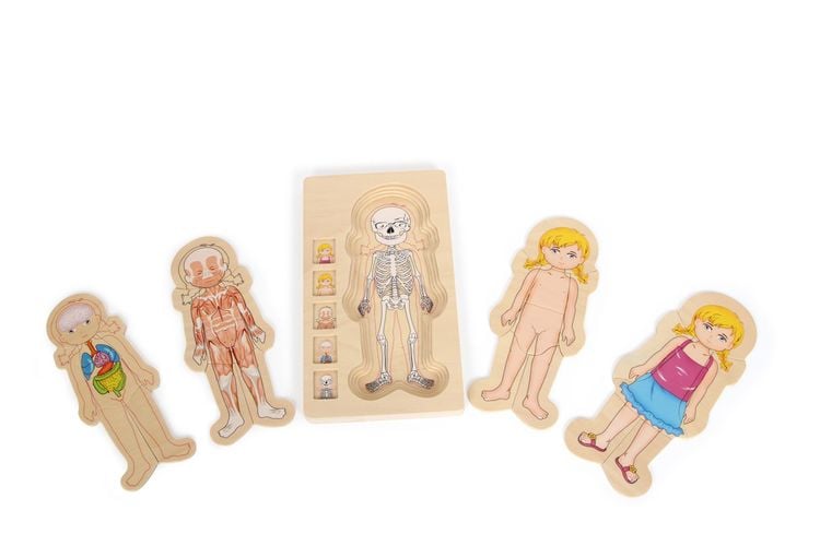 Produktbild: Schichtenpuzzle Anatomie M&auml;dchen