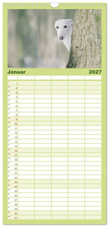 Produktbild: Familienplaner 2027 - Der Windhundekalender mit 5 Spalten (Wandkalender, 21 x 45 cm) CALVENDO