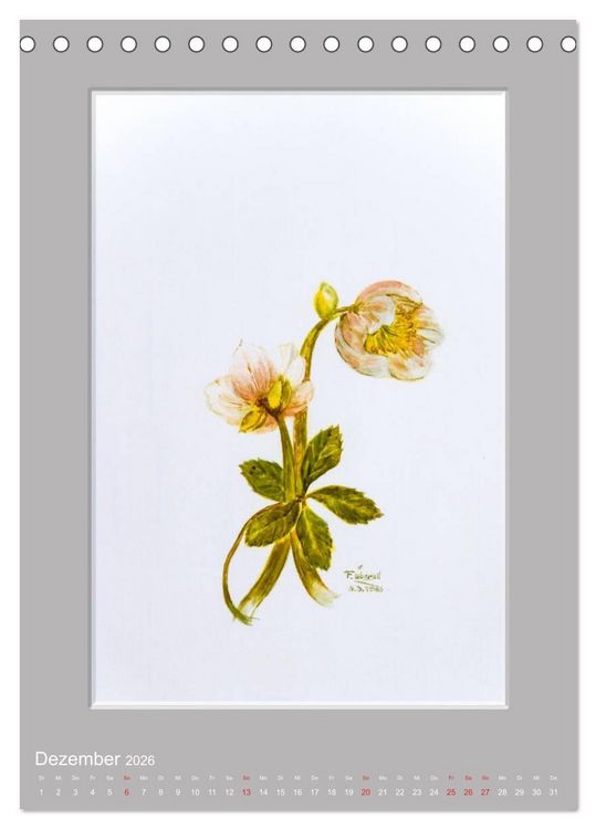 Produktbild: Alpenblumen Aquarelle aus Tirol (Tischkalender 2026 DIN A5 hoch), CALVENDO Monatskalender