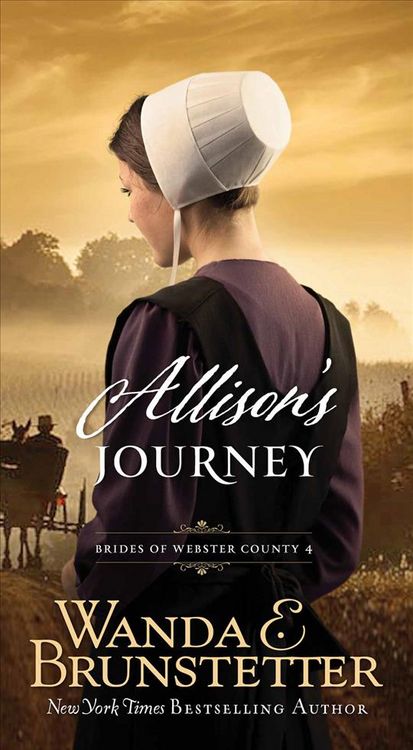 Produktbild: Allisons Journey