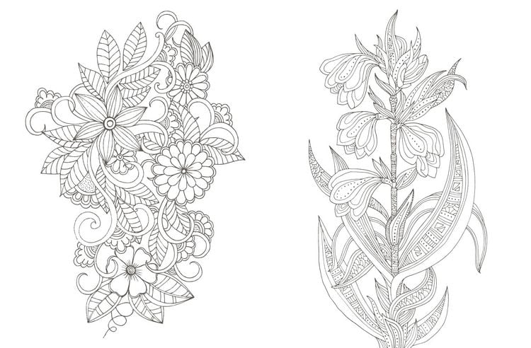Produktbild: Colorful Mandala &ndash; Botanischer Garten