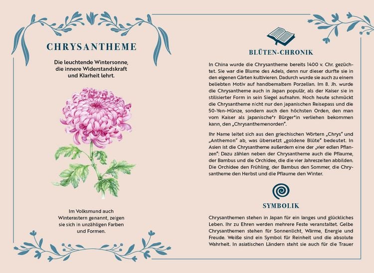 Produktbild: Adventskalender-Kartenset: Bl&uuml;tenwunder
