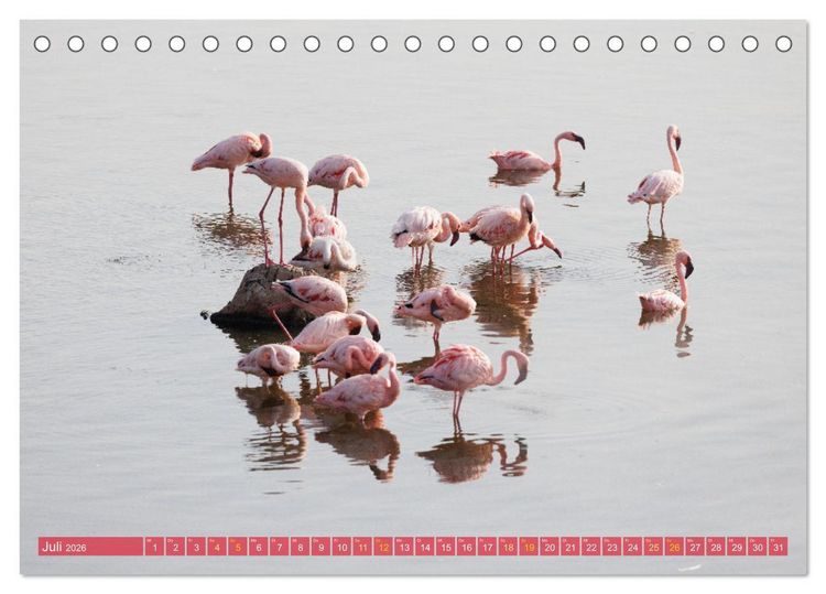 Produktbild: Flamingos am Lake Bogoria - Kenia (Tischkalender 2026 DIN A5 quer), CALVENDO Monatskalender