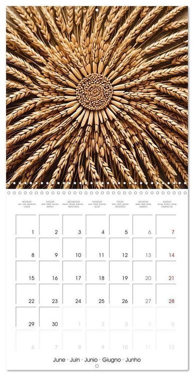 Produktbild: Mandalas of Mother Earth (Wall Calendar 2026 12 &times; 12 Inch) CALVENDO 12 Month Wall Calendar