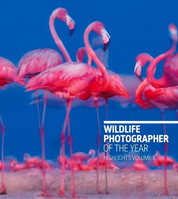 Produktbild: Wildlife Photographer of the Year: Highlights Volume 5