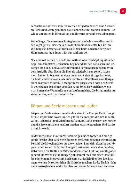 Produktbild: Der Burnout-Notfallkoffer