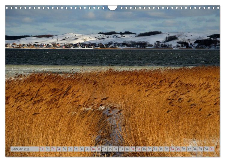 Produktbild: Halbinsel M&ouml;nchgut - R&uuml;gens sch&ouml;nste Seite (Wandkalender 2026 DIN A3 quer), CALVENDO Monatskalender