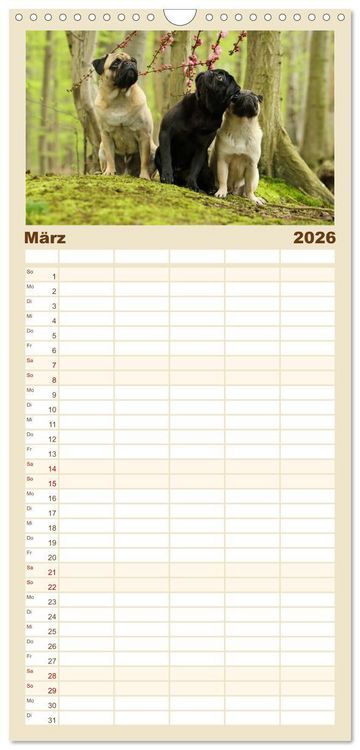 Produktbild: Familienplaner 2026 - Lustige M&ouml;pse aus der Hundeknipserei mit 5 Spalten (Wandkalender, 21 x 45 cm) CALVENDO