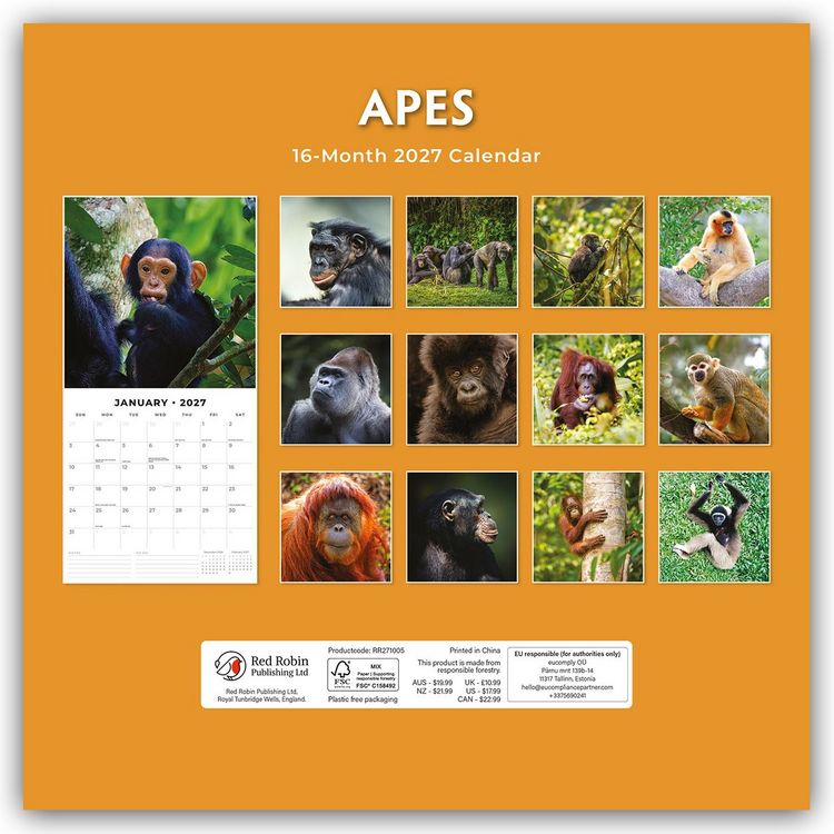 Produktbild: Apes &ndash; Affen 2027 &ndash; 16-Monatskalender