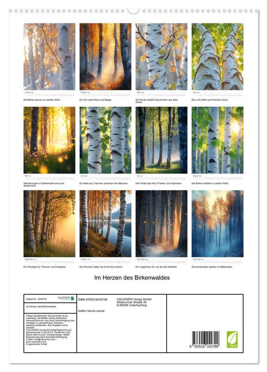 Produktbild: Im Herzen des Birkenwaldes (hochwertiger Premium Wandkalender 2026 DIN A2 hoch), Kunstdruck in Hochglanz