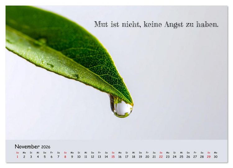 Produktbild: Krebs ist ein Vollidiot - Kalender f&uuml;r alle K&auml;mpfer mit Krebserkrankung (Tischkalender 2026 DIN A5 quer), CALVENDO Monatskalender