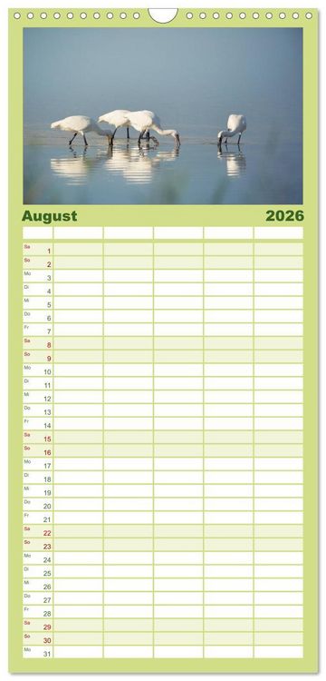 Produktbild: Familienplaner 2026 - Das faszinierende Reich der V&ouml;gel mit 5 Spalten (Wandkalender, 21 x 45 cm) CALVENDO