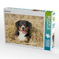 Produktbild: CALVENDO Puzzle Spa&szlig; im Stroh 1000 Teile Lege-Gr&ouml;&szlig;e 64 x 48 cm Foto-Puzzle Bild von SchnelleWelten